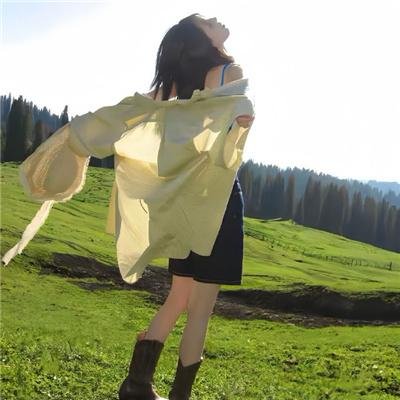 另类民兵葛二蛋