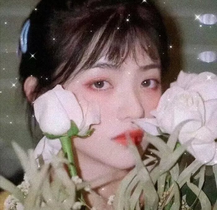 噢,亲爱的莫妮卡